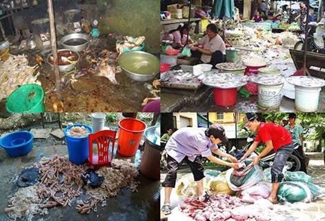 tình trạng thực phẩm bẩn