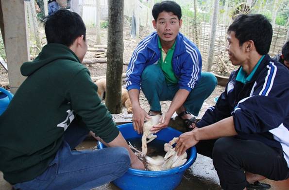 Gà cũng là đồ lễ không thể thiếu trong ngày Tết năm cùng