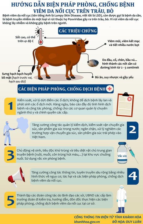 Hướng dẫn phòng, chống bệnh viêm da nổi cục trên trâu, bò (15-1).png
