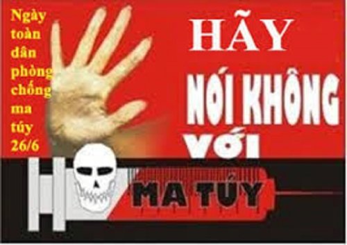 MHoa.jpg