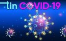 Cập nhật tình hình dịch Covid - 19 trên địa bàn tỉnh ngày