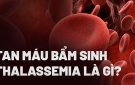  BÀI TUYÊN TRUYỀN HƯỞNG ỨNG NGÀY THALASSEMIA THẾ GIỚI 08/05/2024