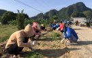 Thôn Chợ xã Cẩm Bình ra quân trồng hoa làm đẹp xóm làng.